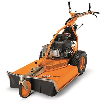 Bild von AS 73 4T B&S Variospeed