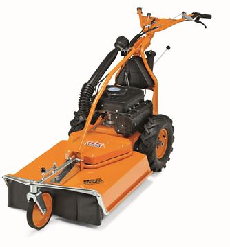 Bild von AS 65 2T ES (Easy Start)