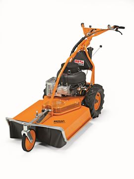 Bild von AS 65 4T B&S
