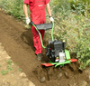 Bild von Motorhacke agria 0800 MH 85